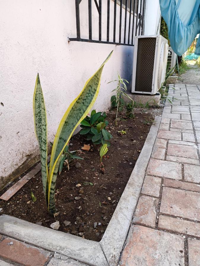 Hostal A 10 Min Del Centro De Veracruz Kültér fotó